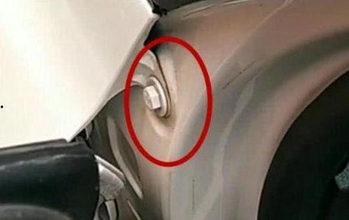 91p国产,揭秘神秘东方古国的历史与文化